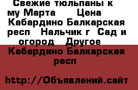 Свежие тюльпаны к 8 му Марта!!! › Цена ­ 45 - Кабардино-Балкарская респ., Нальчик г. Сад и огород » Другое   . Кабардино-Балкарская респ.